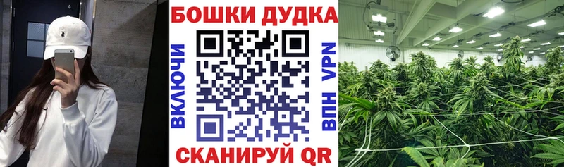 Купить Гашиш  Конопля  Галлюциногенные грибы  МЕФ  Салехард