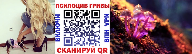 Купить закладки  Салехард  Псилоцибиновые грибы мицелий 